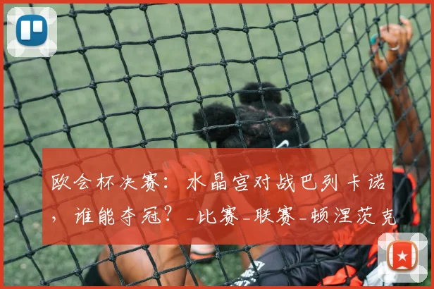 欧会杯决赛:水晶宫对战巴列卡诺,谁能夺冠?_比赛_联赛_顿涅茨克矿工