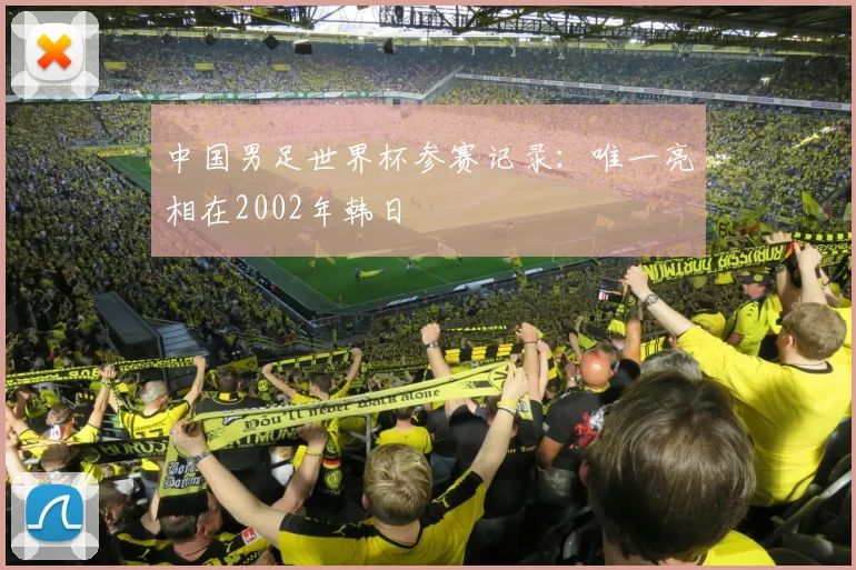 中国男足世界杯参赛记录:唯一亮相在2002年韩日