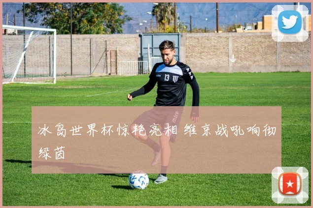 冰岛世界杯惊艳亮相 维京战吼响彻绿茵