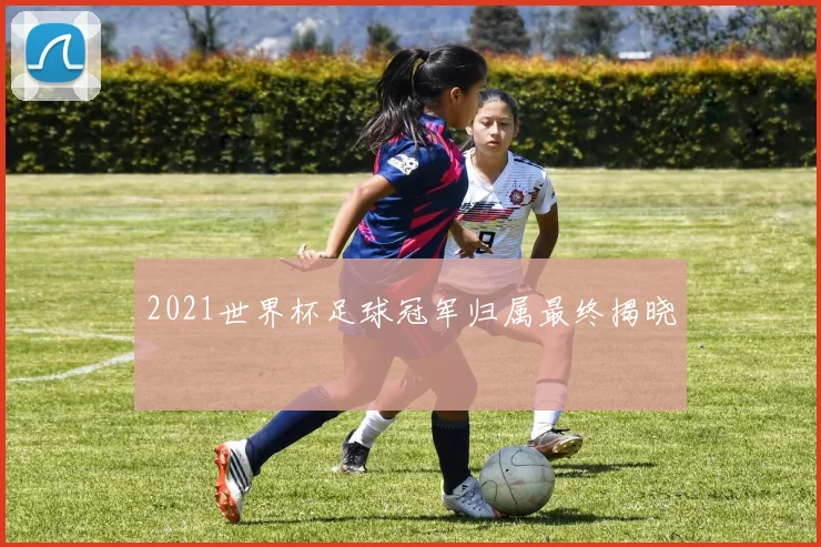 2021世界杯足球冠军归属最终揭晓