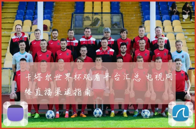 卡塔尔世界杯观看平台汇总 电视网络直播渠道指南