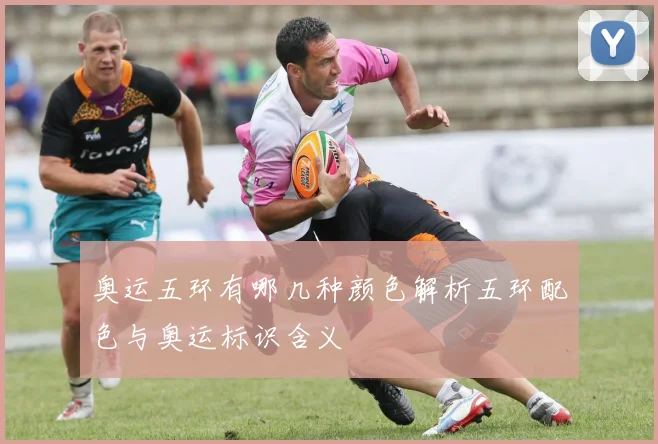 奥运五环有哪几种颜色解析五环配色与奥运标识含义