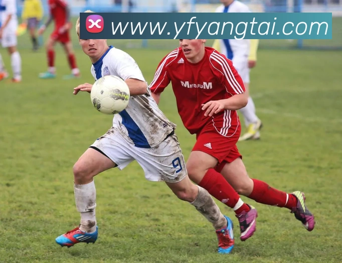 必一运动b官网平台生态图